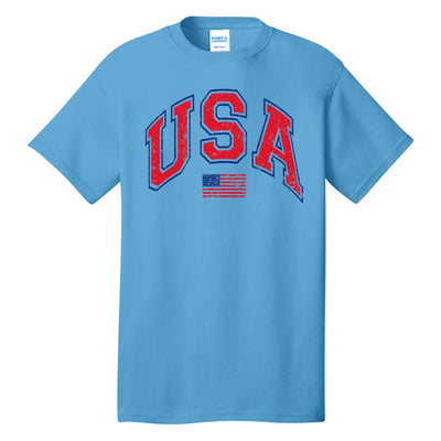 'Distressed USA' T-Shirt - United Monograms